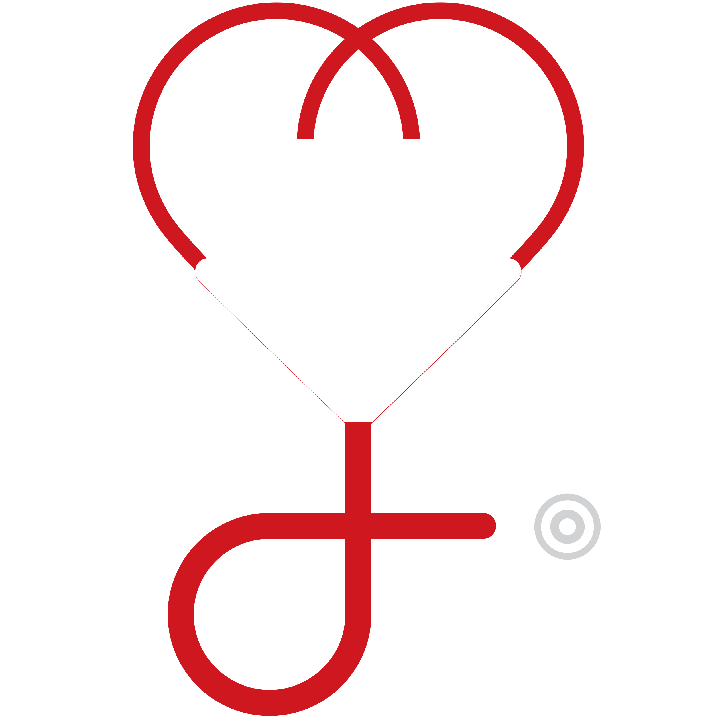 IASSIST